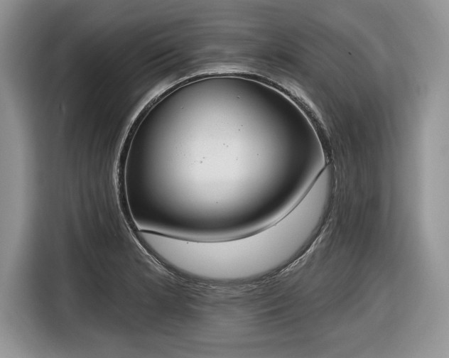 X0000116431181200912151012