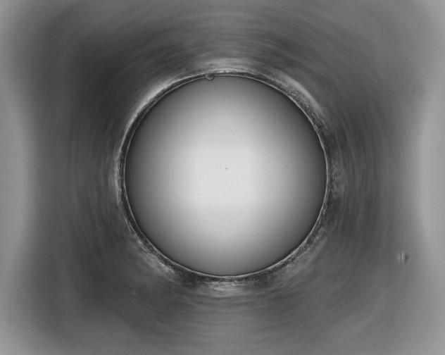 X0000116431182200912151012