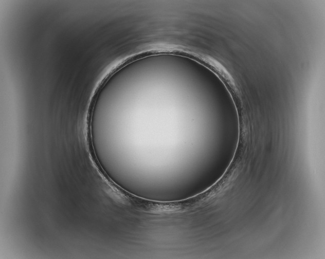 X0000116431183200912151012