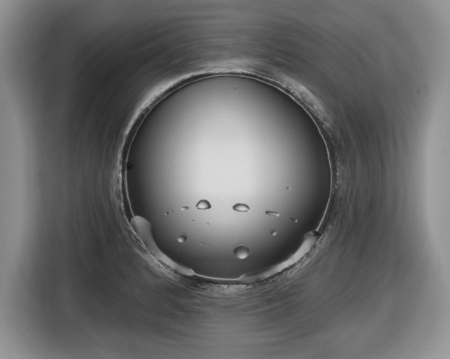 X0000116431184200912151012