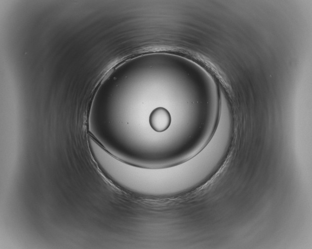 X0000116431185200912151012