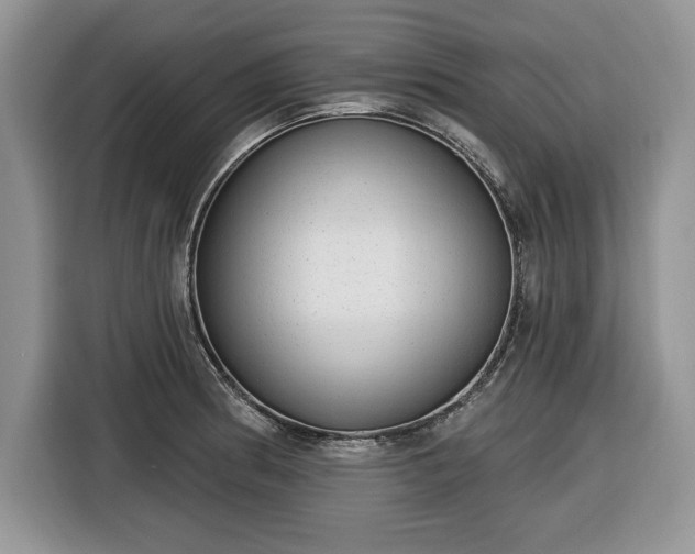 X0000116431186200912151012