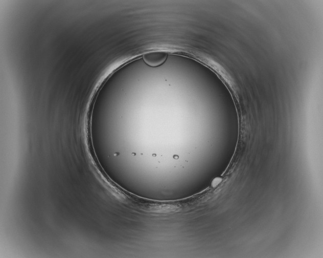 X0000116431187200912151012