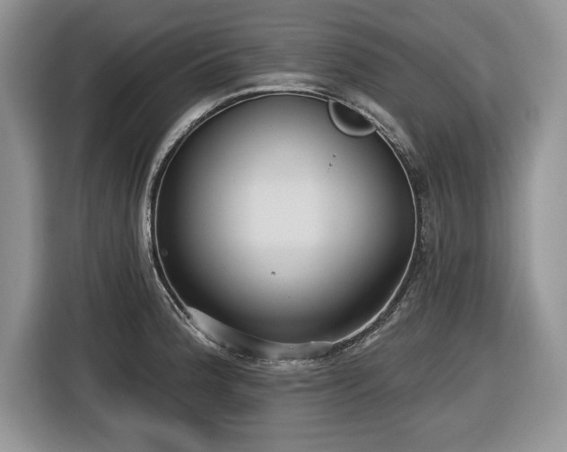X0000116431188200912151012