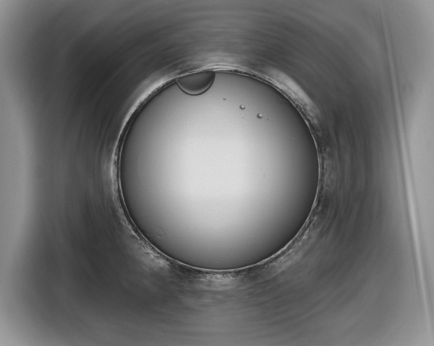 X0000116431190200912151012