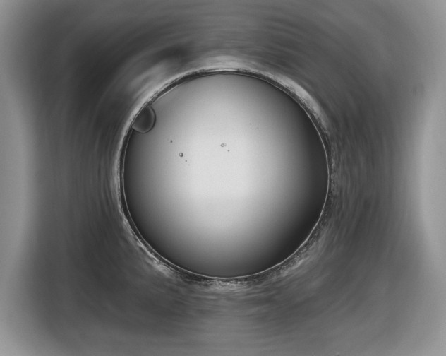 X0000116431191200912151012