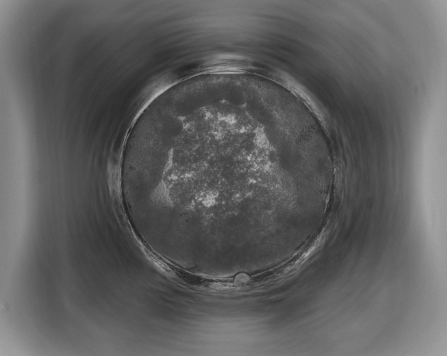 X0000116431194200912151012