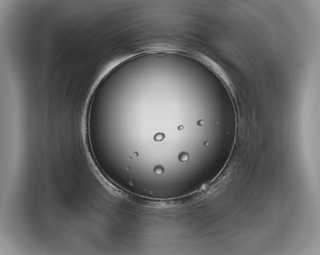 X0000116431195200912151012