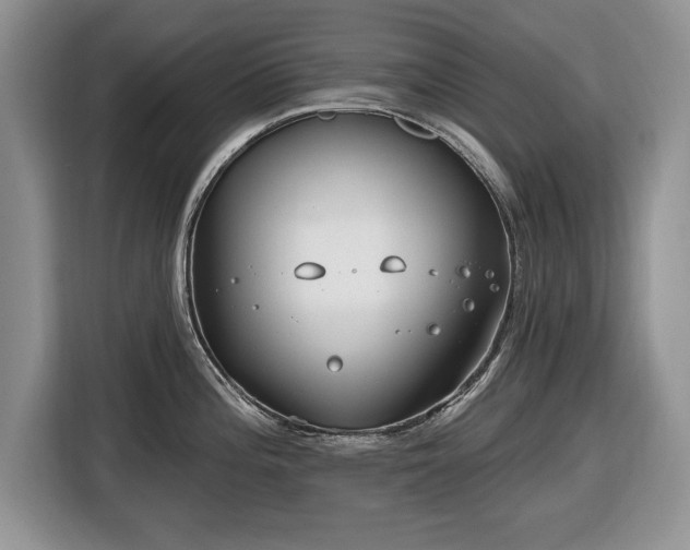 X0000116431196200912151012