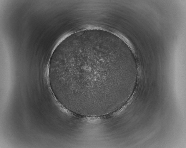 X0000116431198200912151012