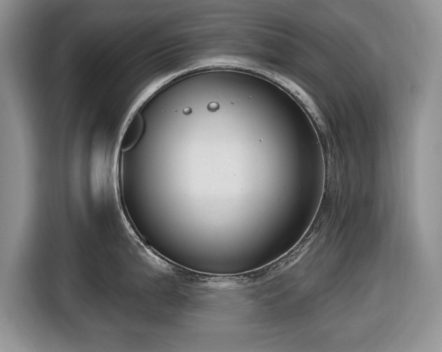 X0000116431199200912151012