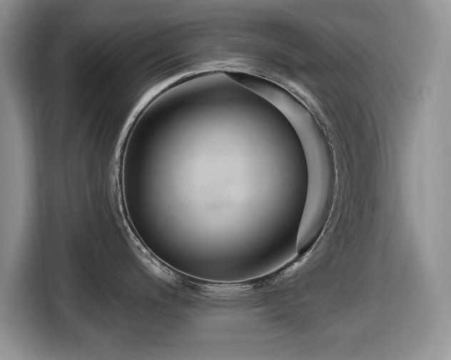 X0000116431200200912151012