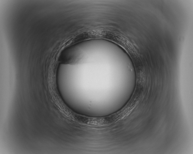 X0000116431201200912151011