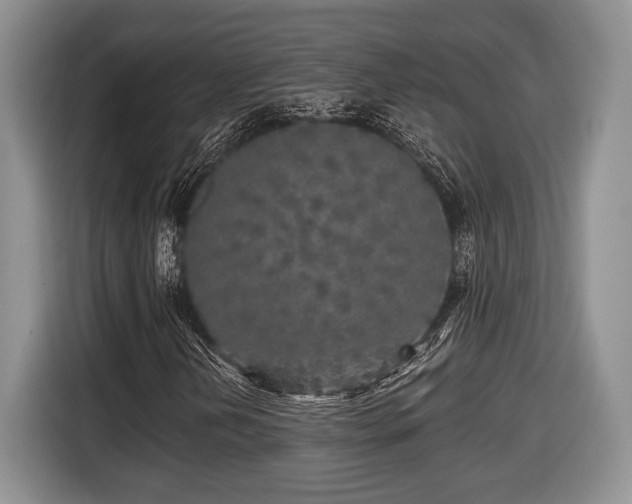 X0000116431202200912151011