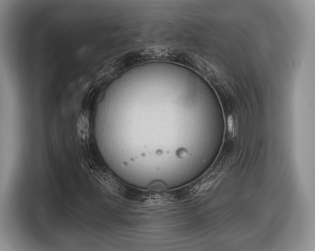 X0000116431203200912151011