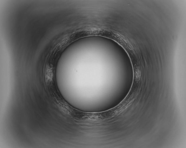 X0000116431204200912151011