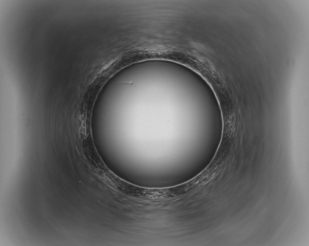X0000116431205200912151011