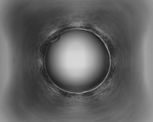 X0000116431206200912151011