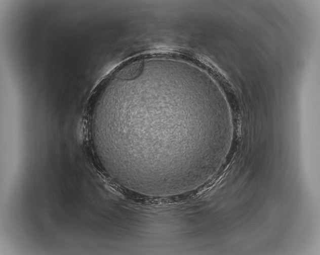 X0000116431208200912151011