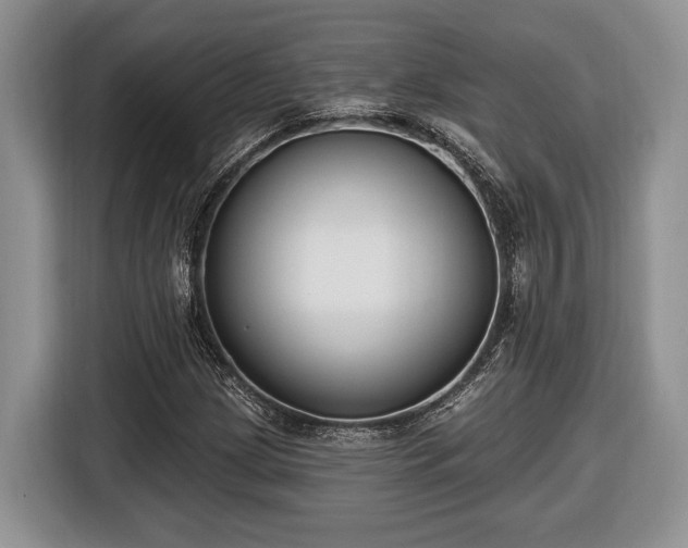 X0000116431209200912151011