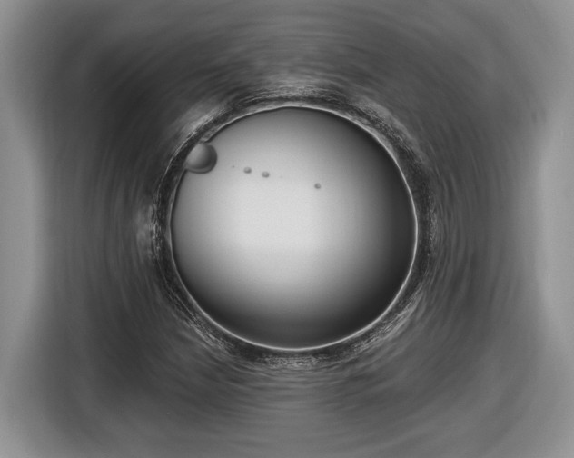 X0000116431210200912151011