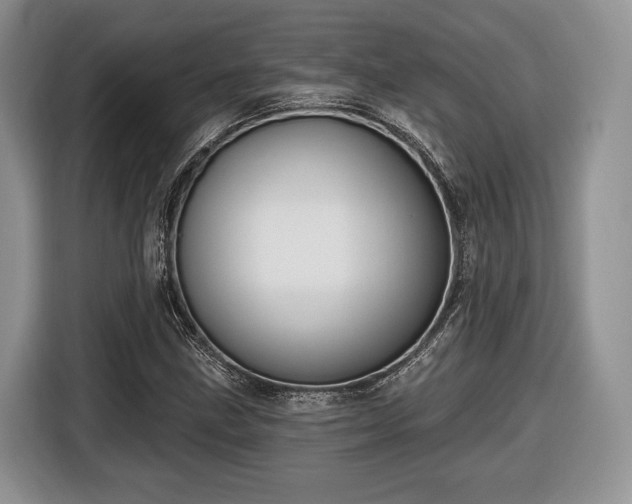 X0000116431211200912151011