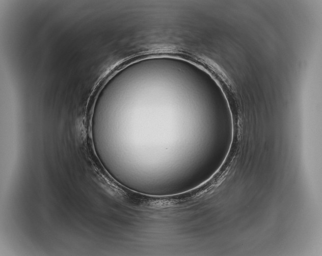 X0000116431212200912151011