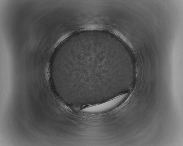 X0000116431213200912151011