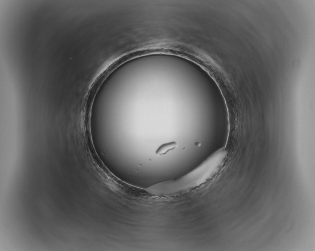 X0000116431216200912151011