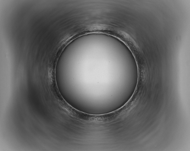 X0000116431217200912151011