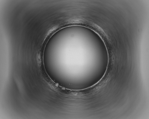 X0000116431218200912151011