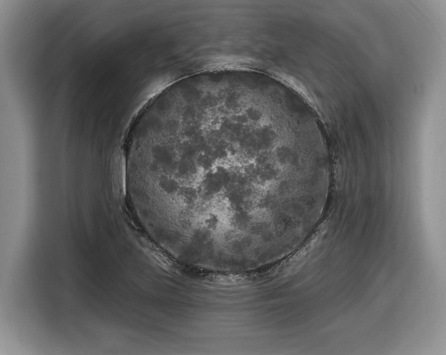 X0000116431219200912151011