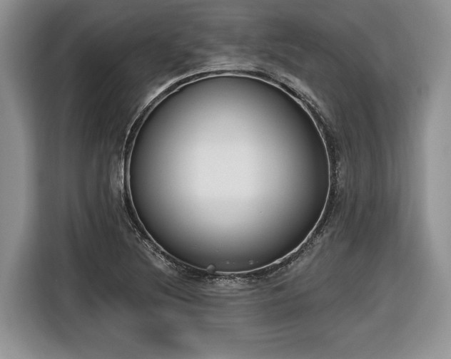 X0000116431220200912151011