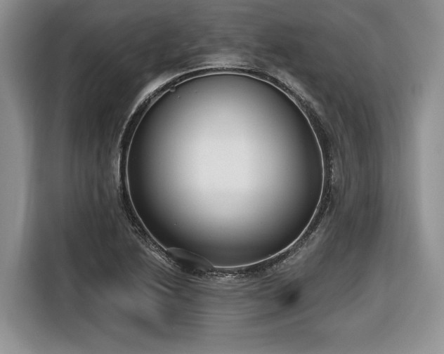 X0000116431222200912151011