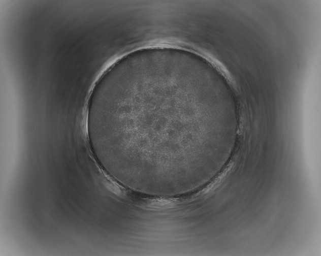 X0000116431224200912151011