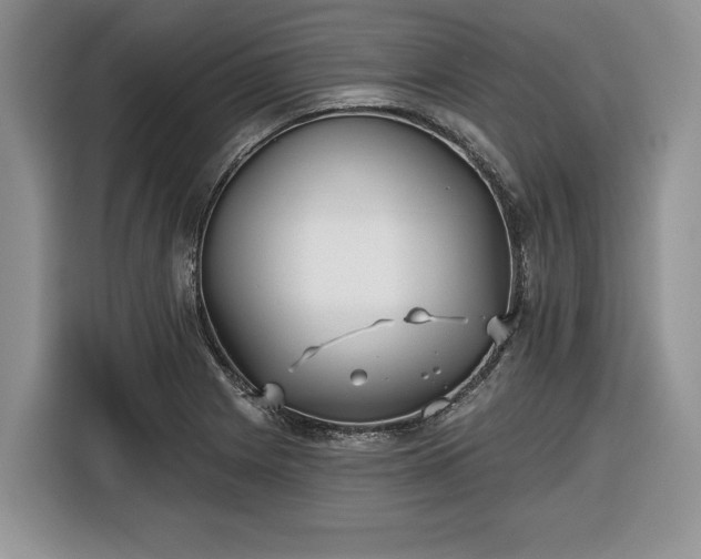 X0000116431225200912151011