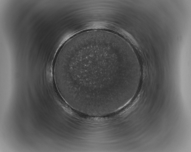 X0000116431226200912151011