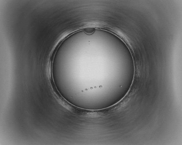 X0000116431227200912151011