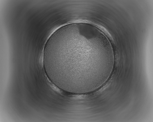 X0000116431228200912151012