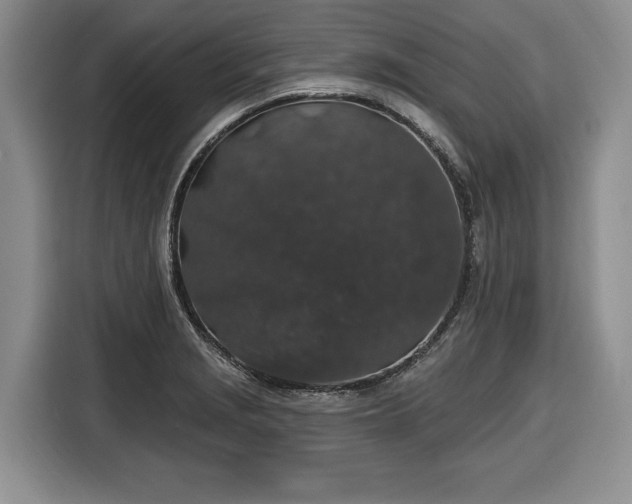 X0000116431229200912151012