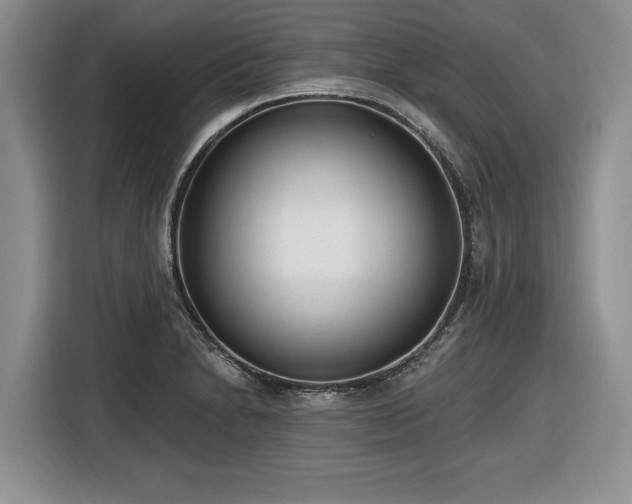 X0000116431230200912151012