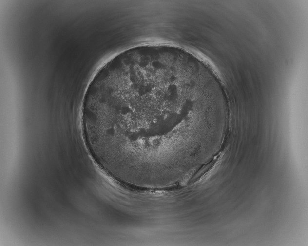 X0000116431231200912151012