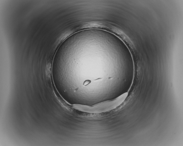 X0000116431233200912151012