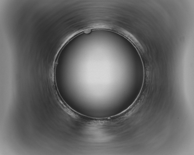 X0000116431236200912151012
