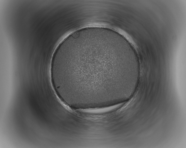 X0000116431237200912151012