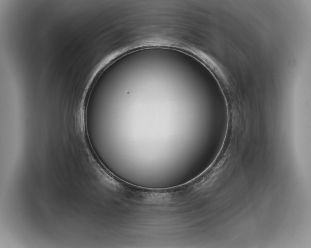X0000116431238200912151012