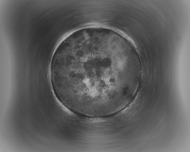 X0000116431239200912151012