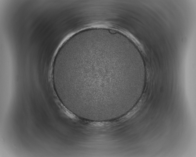 X0000116431240200912151012
