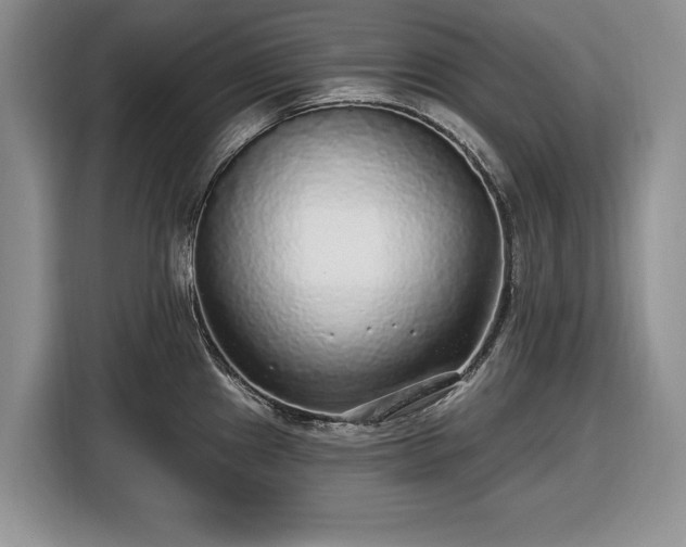 X0000116431241200912151012