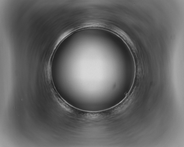 X0000116431242200912151012
